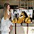 Quadro Decorativo Canvas Animal Composição Abstrata de Dupla de Cavalos Horizontal - Imagem 7