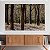 Quadro Decorativo Canvas Paisagem de Árvores Altas em Floresta  Horizontal - Imagem 3