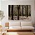 Quadro Decorativo Canvas Paisagem de Árvores Altas em Floresta  Horizontal - Imagem 2