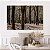Quadro Decorativo Canvas Paisagem de Árvores Altas em Floresta  Horizontal - Imagem 4