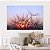Quadro Decorativo Canvas Dentes de Leão com Gotas de Água ao Pôr do Sol Horizontal - Imagem 5