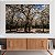 Quadro Decorativo Canvas Paisagem com Árvores Grande e Flores Brancas na Floresta Horizontal - Imagem 3