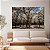 Quadro Decorativo Canvas Paisagem com Árvores Grande e Flores Brancas na Floresta Horizontal - Imagem 2