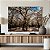 Quadro Decorativo Canvas Paisagem com Árvores Grande e Flores Brancas na Floresta Horizontal - Imagem 5