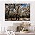 Quadro Decorativo Canvas Paisagem com Árvores Grande e Flores Brancas na Floresta Horizontal - Imagem 4