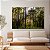 Quadro Decorativo Canvas Paisagem com Árvores Grandes na Floresta Horizontal - Imagem 2