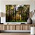 Quadro Decorativo Canvas Paisagem com Árvores Grandes na Floresta Horizontal - Imagem 5