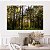 Quadro Decorativo Canvas Paisagem com Árvores Grandes na Floresta Horizontal - Imagem 3
