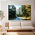 Quadro Decorativo Canvas Paisagem Estrada de Terra Cercada Por Floresta Horizontal - Imagem 3