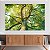 Quadro Decorativo Canvas Paisagem Copa de Árvore com Muitos Galhos Horizontal - Imagem 2