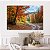 Quadro Decorativo Canvas Paisagem Pequena Estrada de Terra em Meio a Floresta Alaranjada Horizontal - Imagem 4