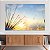 Quadro Decorativo Canvas Paisagem de Dentes de Leão com Pôr do Sol ao Fundo Horizontal - Imagem 3