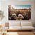 Quadro Decorativo Canvas Paisagem de Grande Campo de Plantação de Algodão Horizontal - Imagem 2
