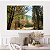 Quadro Decorativo Canvas Paisagem Pequena Estrada de Terra Cercada Por Floresta no Outono Horizontal - Imagem 4