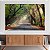 Quadro Decorativo Canvas Paisagem de Estrada com Floresta Raios de Sol Horizontal - Imagem 2
