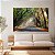 Quadro Decorativo Canvas Paisagem de Estrada com Floresta Raios de Sol Horizontal - Imagem 3