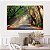 Quadro Decorativo Canvas Paisagem de Estrada com Floresta Raios de Sol Horizontal - Imagem 4