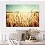 Quadro Decorativo Canvas Paisagem Campo de Trigo Horizontal - Imagem 5
