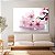 Quadro Decorativo Canvas Flores Elegantes em Fundo Branco Horizontal - Imagem 3
