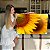 Quadro Decorativo Canvas Flores Dois Girassois Horizontal - Imagem 7