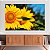 Quadro Decorativo Canvas Flores Dois Girassois Horizontal - Imagem 3