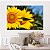 Quadro Decorativo Canvas Flores Dois Girassois Horizontal - Imagem 2