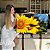 Quadro Decorativo Canvas Flores Dois Girassois Horizontal - Imagem 7