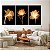 Quadros Decorativos Trio em Canvas Abstrato Flores Douradas Raio X - Imagem 1