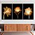 Quadros Decorativos Trio em Canvas Abstrato Flores Douradas Raio X - Imagem 4