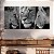 Quadros Decorativos Trio em Canvas Animais Leões Preto e Branco - Imagem 5