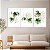 Quadros Decorativos Trio em Canvas Composição Costelas de Adão em Fundo Branco Pintura - Imagem 1