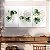 Quadros Decorativos Trio em Canvas Composição Costelas de Adão em Fundo Branco Pintura - Imagem 5