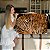 Quadro Decorativo Canvas Asbtrato Moderno de Folhas Douradas Elegantes Horizontal - Imagem 7