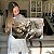 Quadro Decorativo Canvas Animais Pintura Cavalo Branco Detalhes Dourados Horizontal - Imagem 6