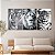 Quadro Decorativo Canvas Trio Animais Silvestres Leão Tigre Onça Preto e Branco - Imagem 4