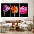 Quadro Decorativo Canvas Trio Tulipas Coloridas em Fundo Preto - Imagem 1