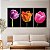 Quadro Decorativo Canvas Trio Tulipas Coloridas em Fundo Preto - Imagem 2
