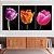 Quadro Decorativo Canvas Trio Tulipas Coloridas em Fundo Preto - Imagem 4