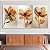 Quadros Decorativos Trio em Flutuante Flores com Pétalas Finas e Tons Terrosos - Imagem 4