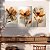 Quadros Decorativos Trio em Flutuante Flores com Pétalas Finas e Tons Terrosos - Imagem 5