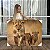 Quadro Decorativo Canvas Animais Leoa com Dois Filhotes Horizontal - Imagem 1