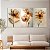 Quadros Decorativos Trio em Flutuante Flores com Pétalas Finas e Tons Terrosos - Imagem 3