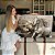 Quadro Decorativo Flutuante Animais Pintura Cavalo Branco Detalhes Dourados Horizontal - Imagem 1
