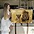 Quadro Decorativo Canvas Casal de Leões Horizontal - Imagem 7