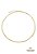 Colar Fita 2mm Aço Dourado - Imagem 1