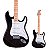 Guitarra Strato Swamp Ash SX SST ASH TBK Transparent Black - Imagem 1