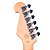 Guitarra Strato Swamp Ash SX SST ASH TBK Transparent Black - Imagem 7