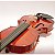 Violino 4/4 Standard Dark Ambar Completo com Case DV11 - GUARNERI - Imagem 4