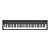 Piano Digital 88 Teclas Roland FP-30X BK Preto - Imagem 1