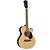 OUTLET Violão Elétrico Venetian Michael VM680DT Natural Satin com Bag - Imagem 3